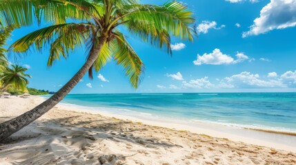 A sunny day at a tropical beach, showcasing calm waves gently lapping against the sandy shore. Towering palm trees add to the scenic and tranquil beauty of the scene.