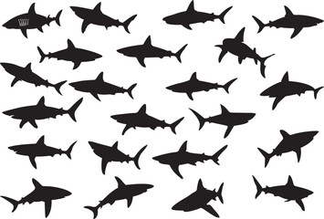 Shark silhouettes set vector illustrations