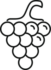 Simple line drawing of a bunch of grapes hanging on the vine