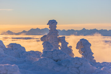 Beautiful winter in the mountains