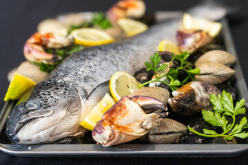 salmón común o salmón del Atlántico (Salmo salar; o Salmo salar sebago) 