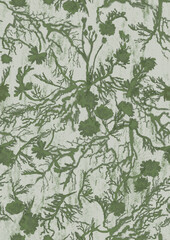 seamless floral pattern