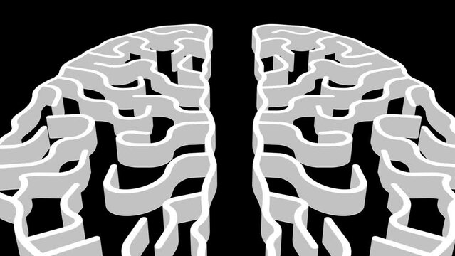 White linear 3d brain. Camera movement. 4k animation.