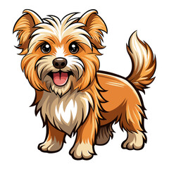 yorkshire terrier puppy