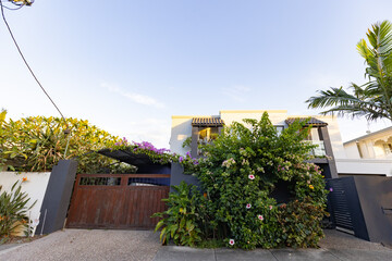 Vibrant flowering climbing plants covering front fence of Gold Coast home