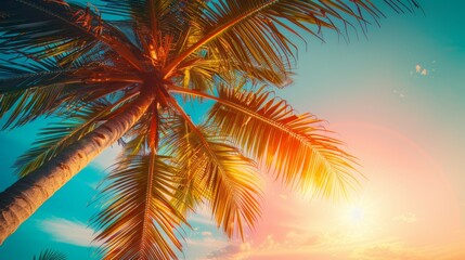 A stunning tropical scene featuring a palm tree with coconuts, set against a vibrant sunset sky with warm hues. The image evokes a sense of relaxation and paradise.