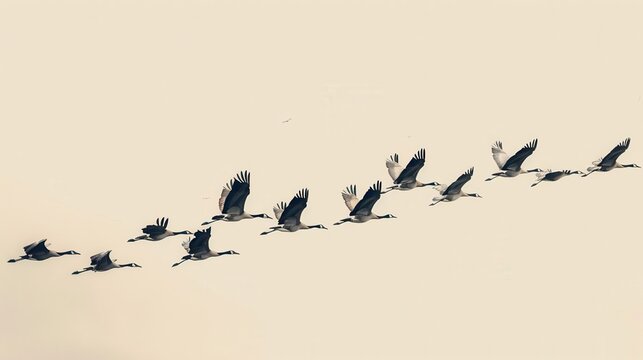 Sequence implementation simulation for wildlife migration patterns, Ecology, Migration Simulation