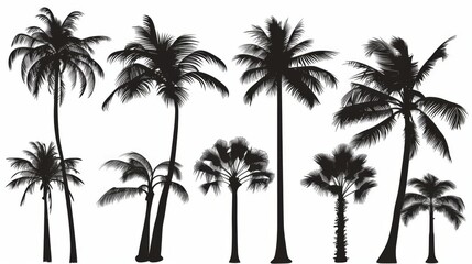 A collection of black silhouettes of palm trees showcasing various styles and shapes. Each silhouette presents a unique portrayal of palm tree structures.