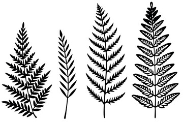 Fern leaf hand-sketched line art foliage illustration style