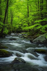 Obraz premium Beautiful Blue Ridge Mountains in North Carolina, home to the West Fork River.