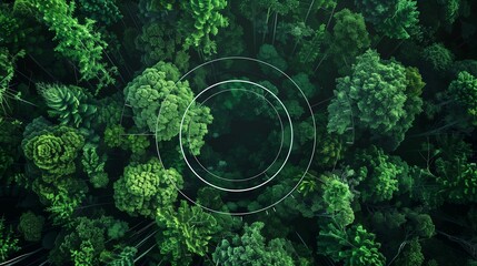 Enviromentally sustainable company target in 2025.