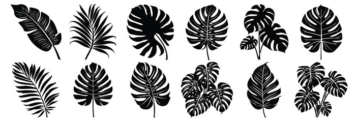 Leaf silhouettes set, pack of vector silhouette design, isolated background