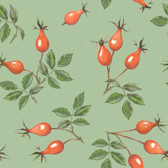 Rosehip drawing. Rose hip berries with leaf on a light green background. Botanical sketch of medical herb for label, herbal tisane tea packaging, fashion prints. Hand drawn seamless pattern