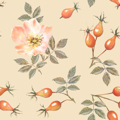 Rosehip drawing. Rose hip berries, pink flowers and leaves on a beige background. Botanical sketch of medical herb for label, herbal tisane tea packaging, fashion prints. Hand drawn seamless pattern