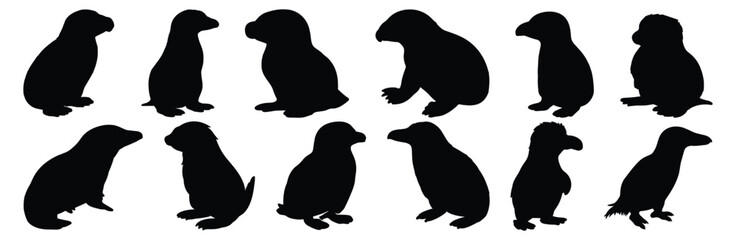Platypus silhouette set vector design big pack of illustration and icon