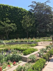 garden in the park