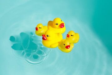 Rubber ducks in blue water