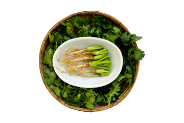 Fresh organic coriander, leaves with roots. Vegetables and herbs