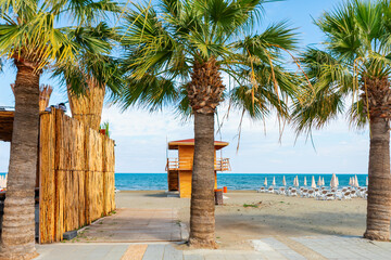 Mackenzie Beach in Larnaca from Cyprus.  Tropical beach with palm trees