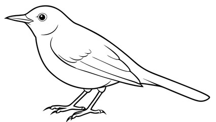 sketch of a bird