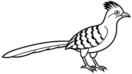 illustration of a bird