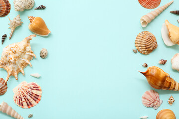 Frame made of different sea shells on blue background