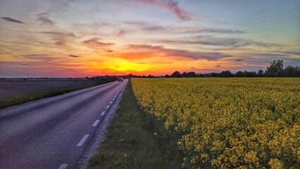 sunset over the road
