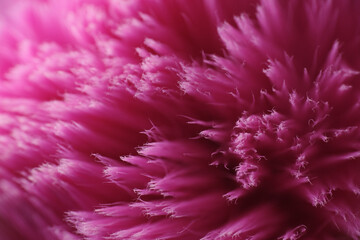 Close up shot of used blush brush wash with conditioner