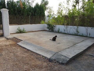 Construction of Concrete Garden Driveway
