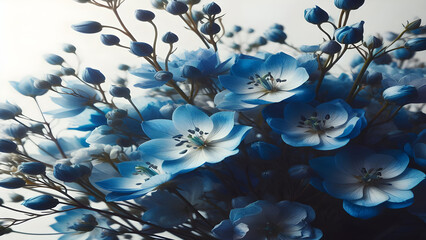 A close up of blue flowers on a white background