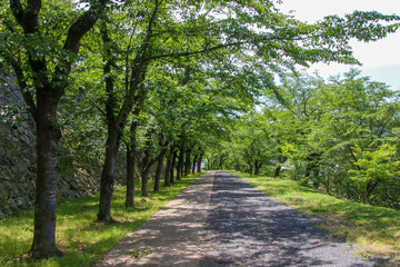 津山城