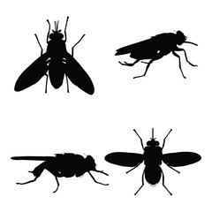 Tsetse Fly Silhouette Vector Illustration Set