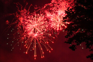 fireworks in the sky