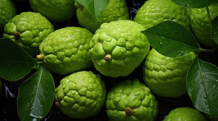 Obraz premium Cherimoya backdrop. A close-up of several green custard apples with leaves, covered in water droplets.