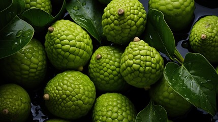 Obraz premium Cherimoya background. A close-up of several green, textured fruits with leaves, possibly a type of citrus or exotic fruit, with water droplets on them.
