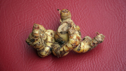 Galangal on a red base, focus selected