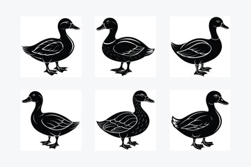Duck Silhouette vector illustration