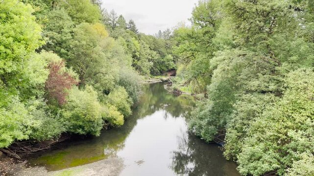 Alsea River at Avery Park Corvallis, Oregon, a popular city park with many trees and plants.