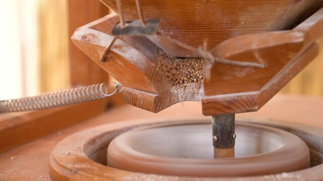 A close-up of a working stone mill with wheat falling into a spinning container. The mill is wooden and processes spelt with open chaffs, threshed by a combine harvester.