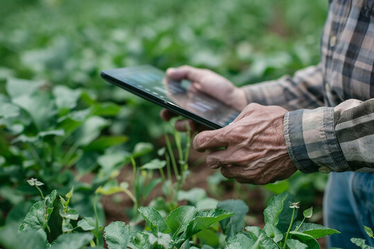 Hands of a farmer checking smart farming alerts on a tablet