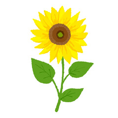 Illustration of a vibrantly blooming sunflower／元気に咲くひまわりのイラスト