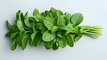 36. A minimalist image with a white background featuring a bundle of fresh mint leaves, positioned in the center