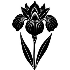 hyper realistic iris vector silhouette illustration