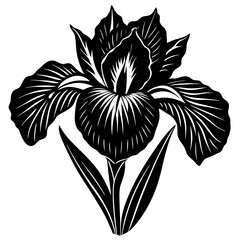 hyper realistic iris vector silhouette illustration