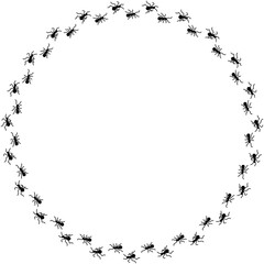 ant circle frame