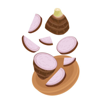 Vector illustration logo clip art Taro Root Levitation 