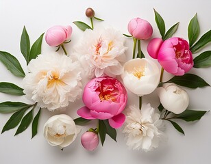 White background, pink and white peonies, peony buds, peonia flowers, peoni leaves, pink petals, white blooms, pink floral arrangement, white flower arrangement, in the style of peppermint flowers,