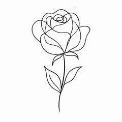 Beautiful rose line art sketch minimalist isolated white background like similar this (2)