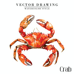 Crab Seafood vector vintage watercolor style 
