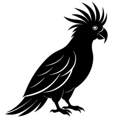 illustration of a bird